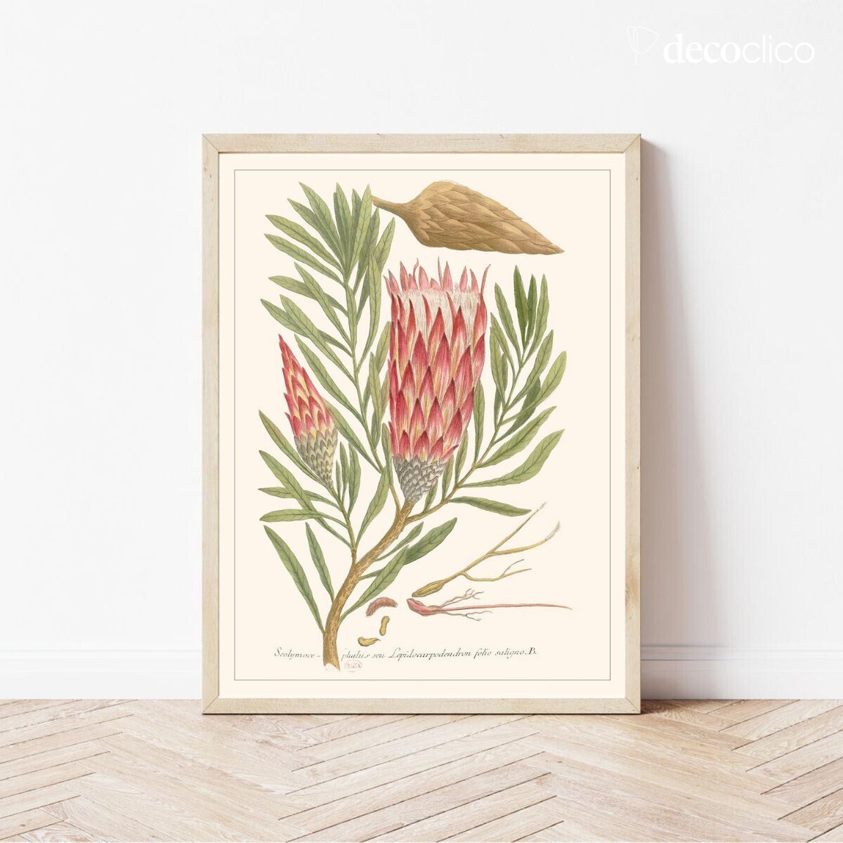 Affiche Scolimoce 30x40 cm Les Jolies Planches