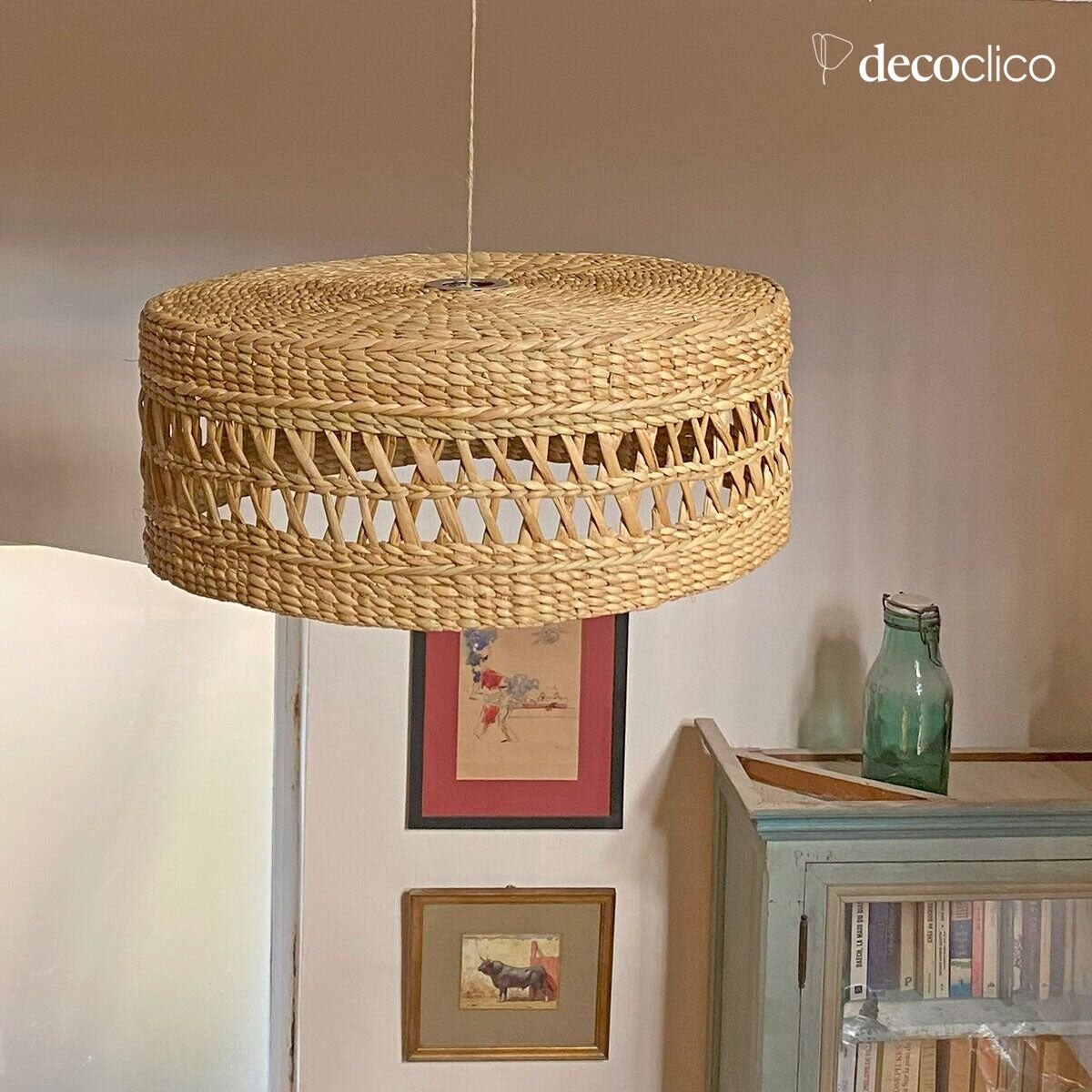 Round water hyacinth suspension (non-electrified) Céleste